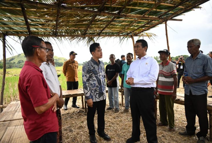 percepat-realisasi-swasembada-pangan-wapres-serap-aspirasi-petani-desa-kolisia-kabupaten-sikka